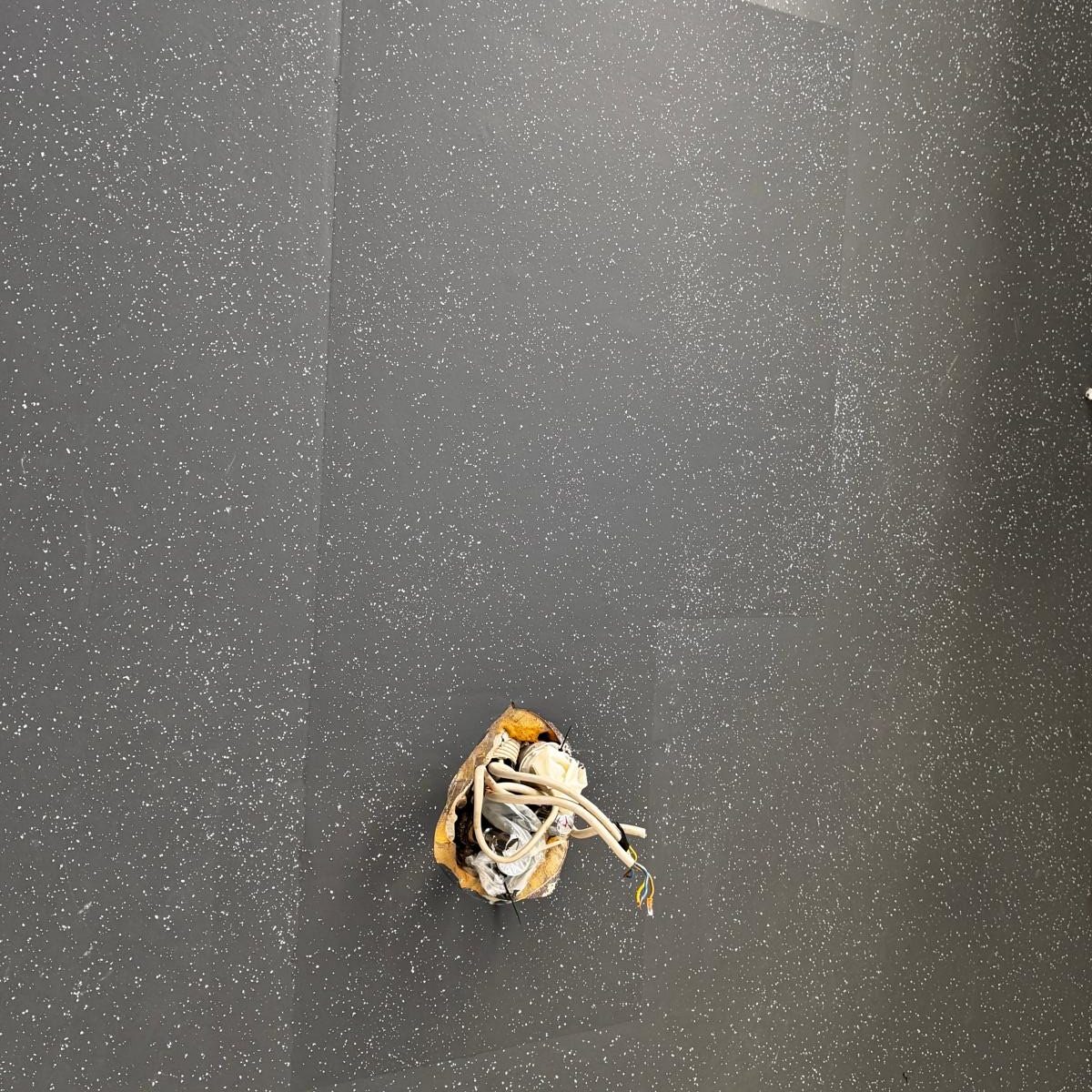 Linoleum Bodensanierung_11